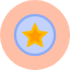 badges-famous-liked-rate-review-star-starred-icon