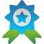 badge-acknowledge-best-practice-certification-quality-winner-icon