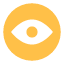 eye-view-password-watch-icon