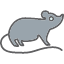 mouse-animal-furry-mice-rat-icon