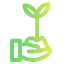 tree-seeds-icon