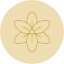 delphinium-flower-blossom-floral-nature-flowers-icon