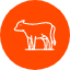animal-cow-farming-mammal-meat-sq-icon