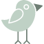 bird-nature-wildlife-freedom-flight-wings-feather-symbolism-icon-vector-design-icons-icon