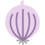 onion-icon