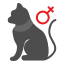 cat-gender-pet-shop-female-icon
