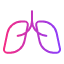 lugs-health-organ-medicine-respiratory-anatomy-icon