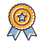 badge-identification-authority-certification-recognition-affiliation-membership-achievement-accomplishment-honor-emblem-icon-icon