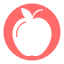 apple-fruit-fruits-education-school-icon
