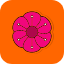 flower-pink-dianthus-botanical-stem-flowers-icon