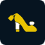 female-footwear-icon
