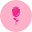 date-flower-gift-love-rose-thoughtful-icon