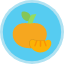 citrus-fruit-orange-clementine-tangerine-organic-sweet-icon