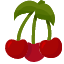 cherryfruit-vegan-food-healthy-diet-vegetarian-restaurant-icon