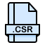 csr-file-format-extension-document-icon