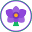 bloom-blossom-floral-flower-flowering-plant-orchid-flowers-icon
