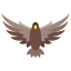 falcon-icon