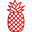 apple-fruit-oragnic-pine-vegetable-icon