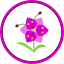 blossom-flower-nature-orchid-plant-tropical-flowers-icon