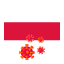 flag-country-corona-virus-poland-icon