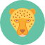 dangerous-jaguar-jungle-leopard-wildlife-amazon-rainforest-icon-vector-design-icons-icon