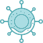bacteria-epidemiology-immune-magnified-mold-donut-icon