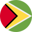 guyana-icon