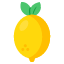 lemon-lime-citrus-fruit-edible-eatable-icon