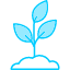 plant-grows-icon