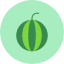 nutrition-summer-watermelon-food-icon