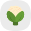 broccoli-cauliflower-nutrition-diet-vegetable-healthiest-gardening-icon