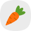 carrots-ecology-green-organic-plant-vegetable-vegetables-icon