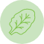 chard-leaf-popeye-salad-spinach-vegetable-icon