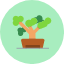 bonsai-feng-shui-nature-plant-pot-zen-icon