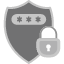 password-lock-protection-security-shield-safety-secure-insurance-privacy-icon-cyber-icon