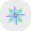 starflower-borage-floral-flower-nature-plant-flowers-icon