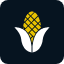corn-icon