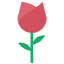 roses-svgrepo-com-icon