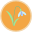 flower-flowerbed-garden-plant-snowdrop-folwers-icon