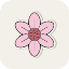 blossom-cherry-festival-flower-pink-sakura-season-icon