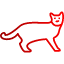 animal-cat-cats-domestic-pet-icon