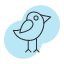 bird-nature-wildlife-freedom-flight-wings-feather-symbolism-icon-vector-design-icons-icon