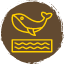 shark-fish-animal-sea-ocean-whale-fin-icon