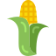corn-icon