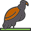 african-bird-carrion-condor-death-scavenger-vulture-icon