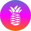 food-fruit-pineapple-slice-of-tropical-icon