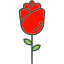 date-flower-gift-love-rose-thoughtful-icon