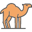 camel-desert-dromedary-hump-ride-zoo-icon