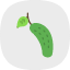 cucumber-cucumiform-pickling-seedless-slicing-vegetable-fruits-and-vegetables-icon