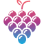 fruit-grape-grapes-wine-icon